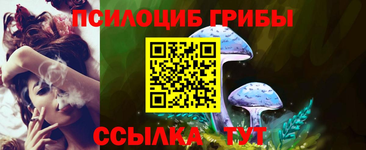 Галлюциногенные грибы ЛСД  Вход с VPN  Кизляр  Псилоцибиновые грибы мицелий 